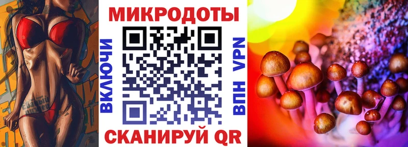 Псилоцибиновые грибы Psilocybine cubensis darknet Telegram Стародуб цена